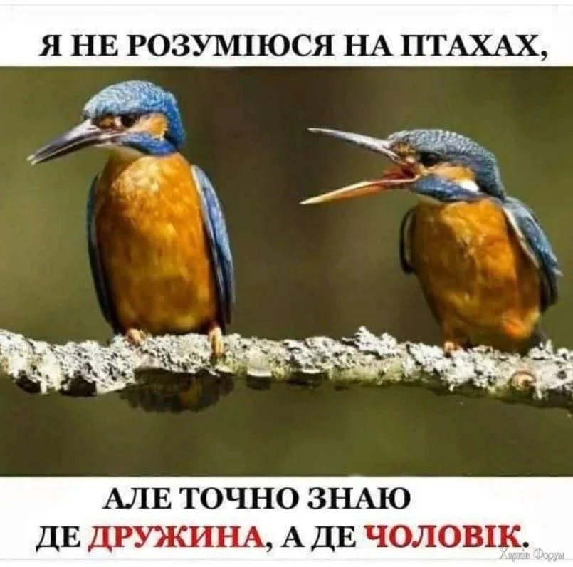 1780839862810.webp