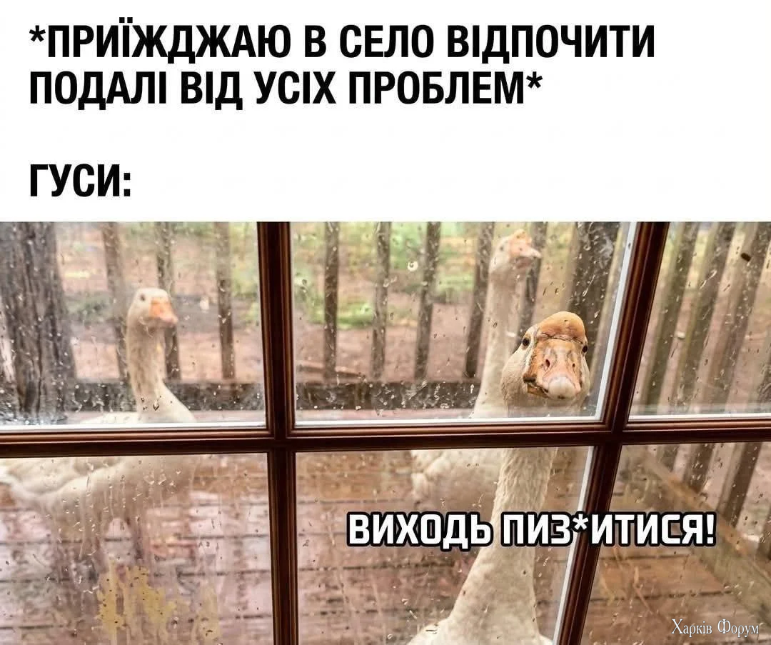 1780928381761.webp