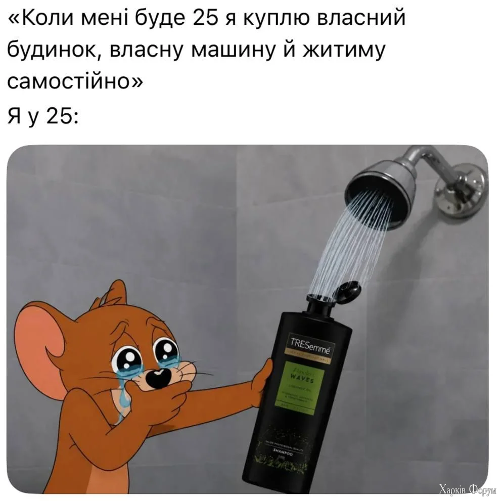1780941334035.webp