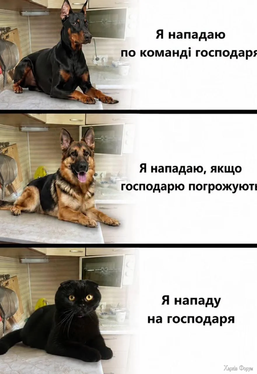 1781005240915.webp