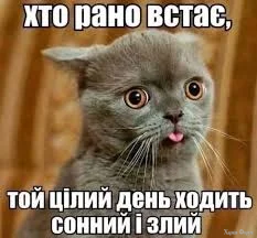 1781091818408.webp