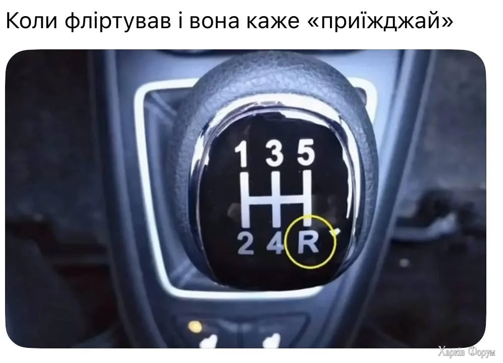 1781109348923.webp