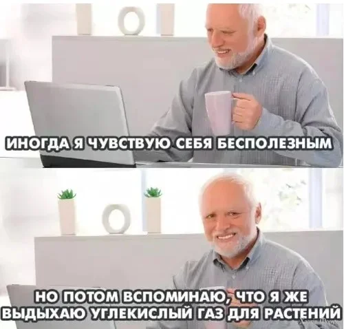 1781161736725.webp