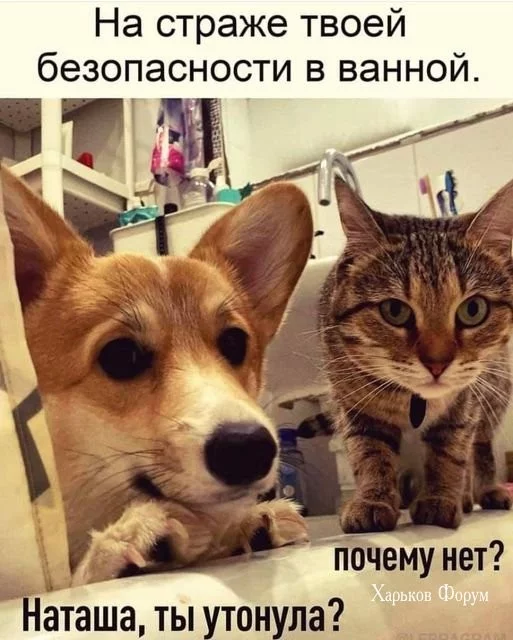 178119430ade84c4cb61a652.webp