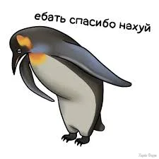 1781200378359.webp