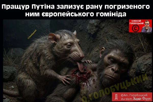 1781215696044.webp