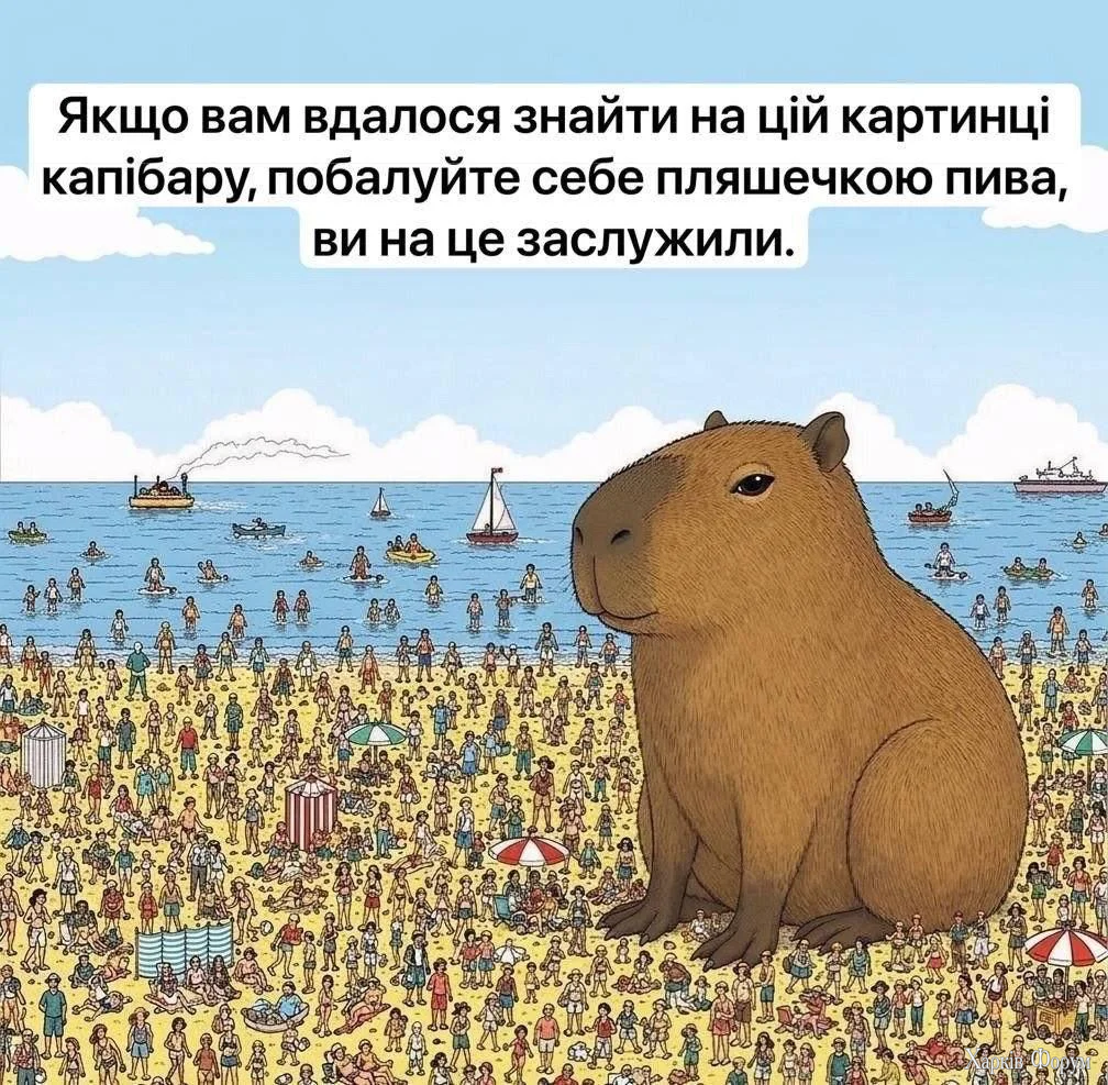 1781268846669.webp