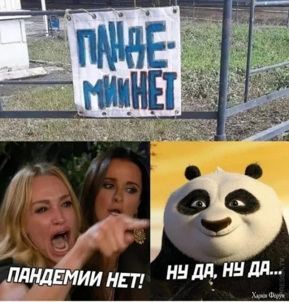1781303455412.webp