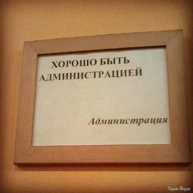 1781335640997.webp
