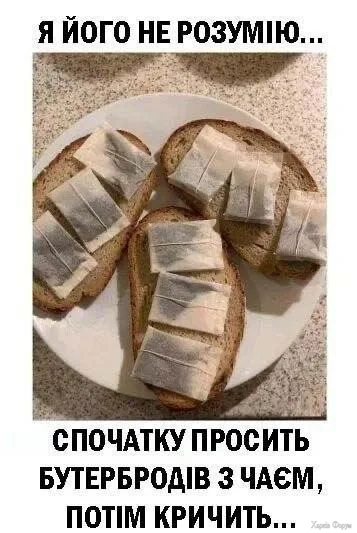 1781354499707.webp
