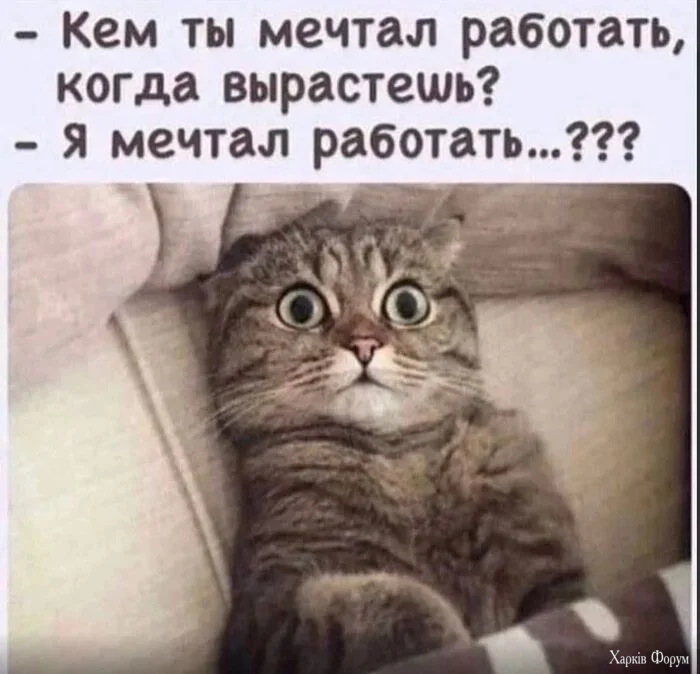 1781368646204.webp