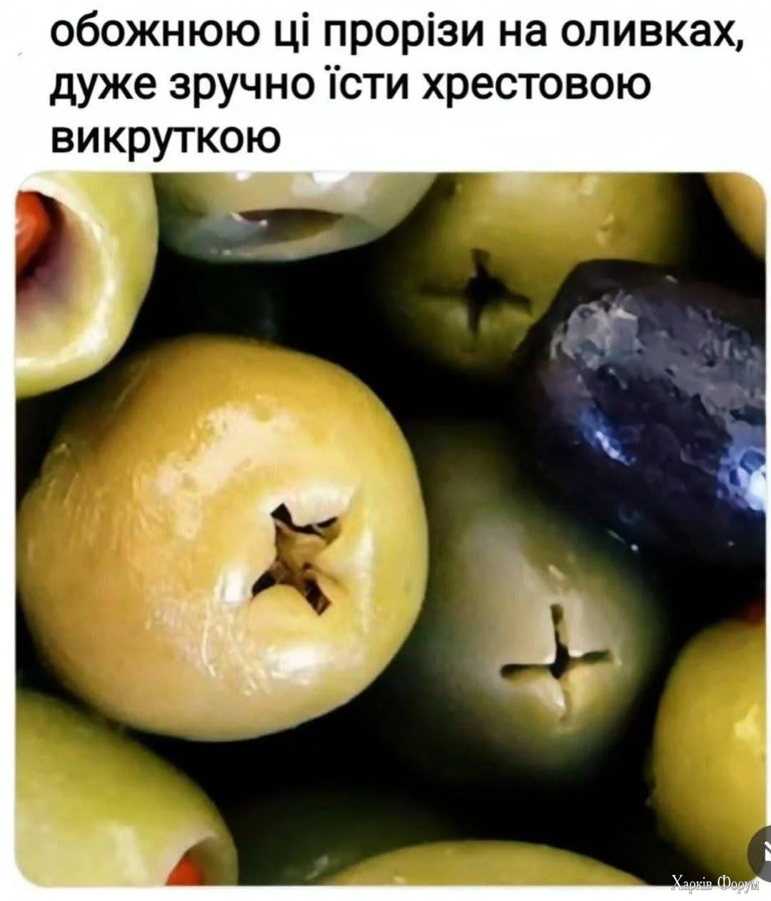 1781442359644.webp