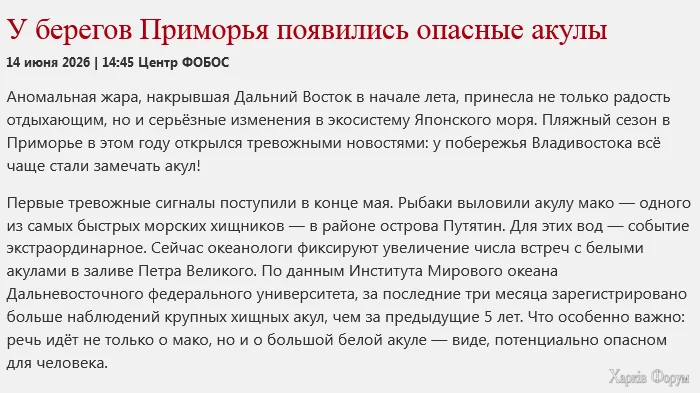 1781546422852.webp