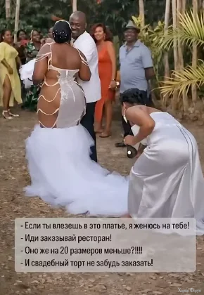 1781616070484.webp