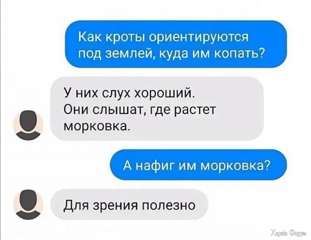 1781616781180.webp