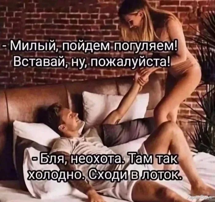 1781713995747.webp