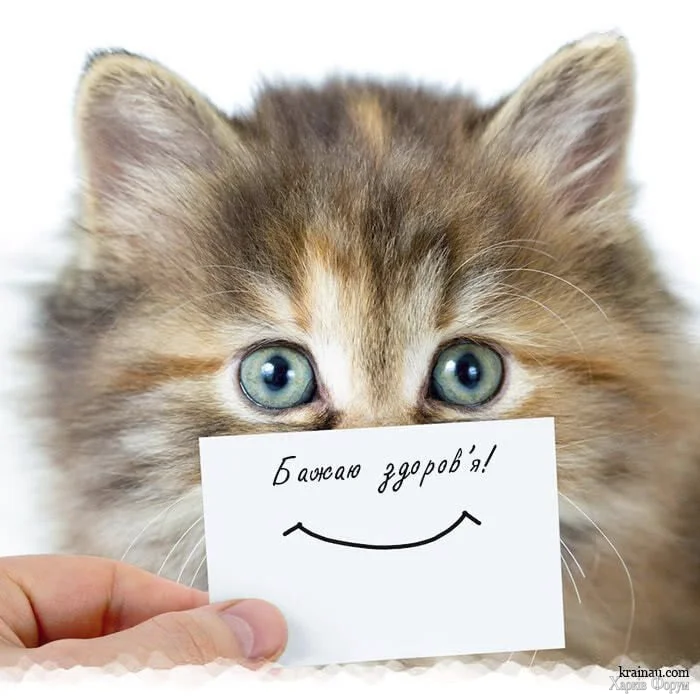 1781777674517.webp