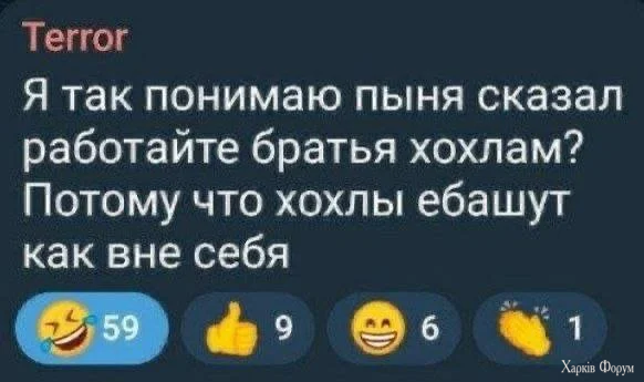 1781780848321.webp