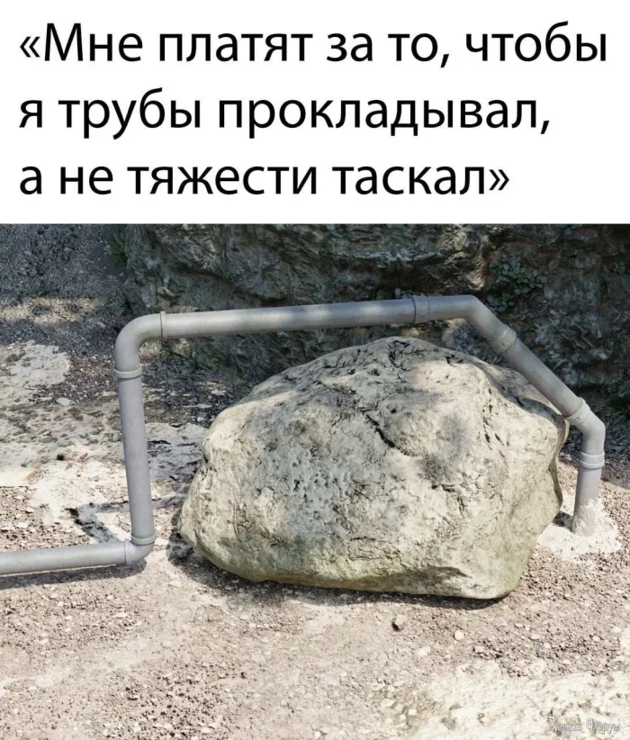 1781981584377.webp