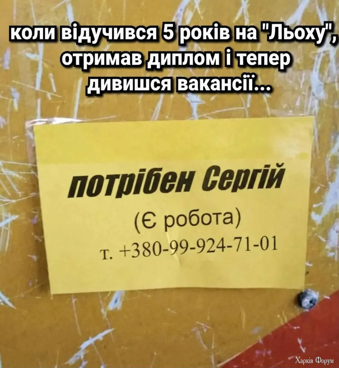 1782067530184.webp