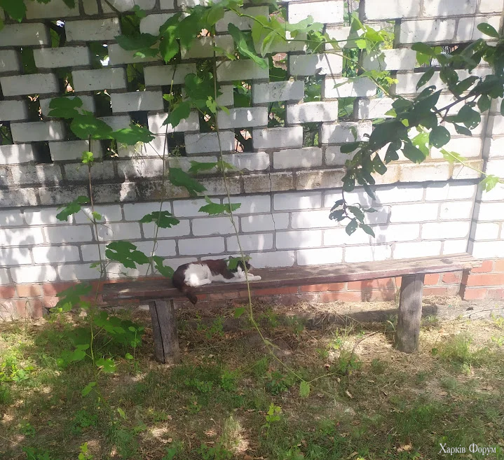1782117350490.webp