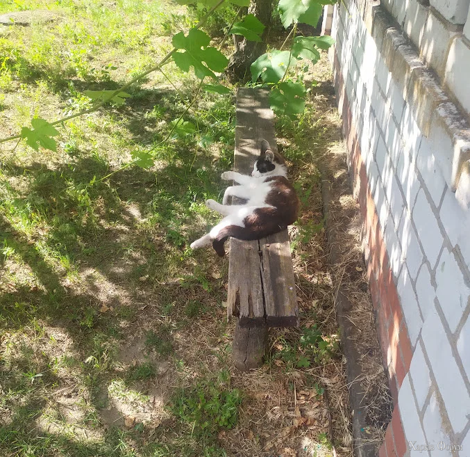 1782117367088.webp