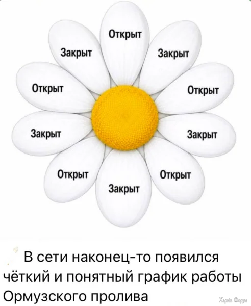 1782241399489.webp