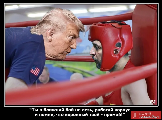 1782246079522.webp