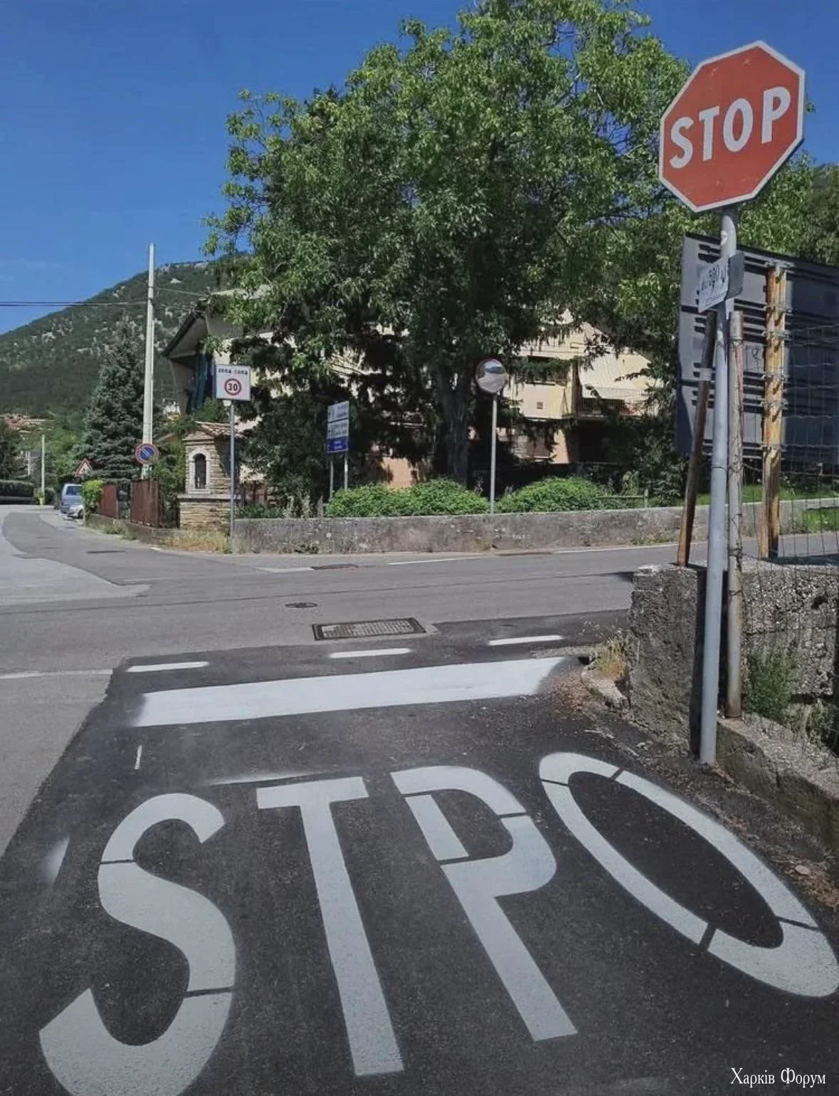 1782250910835.webp