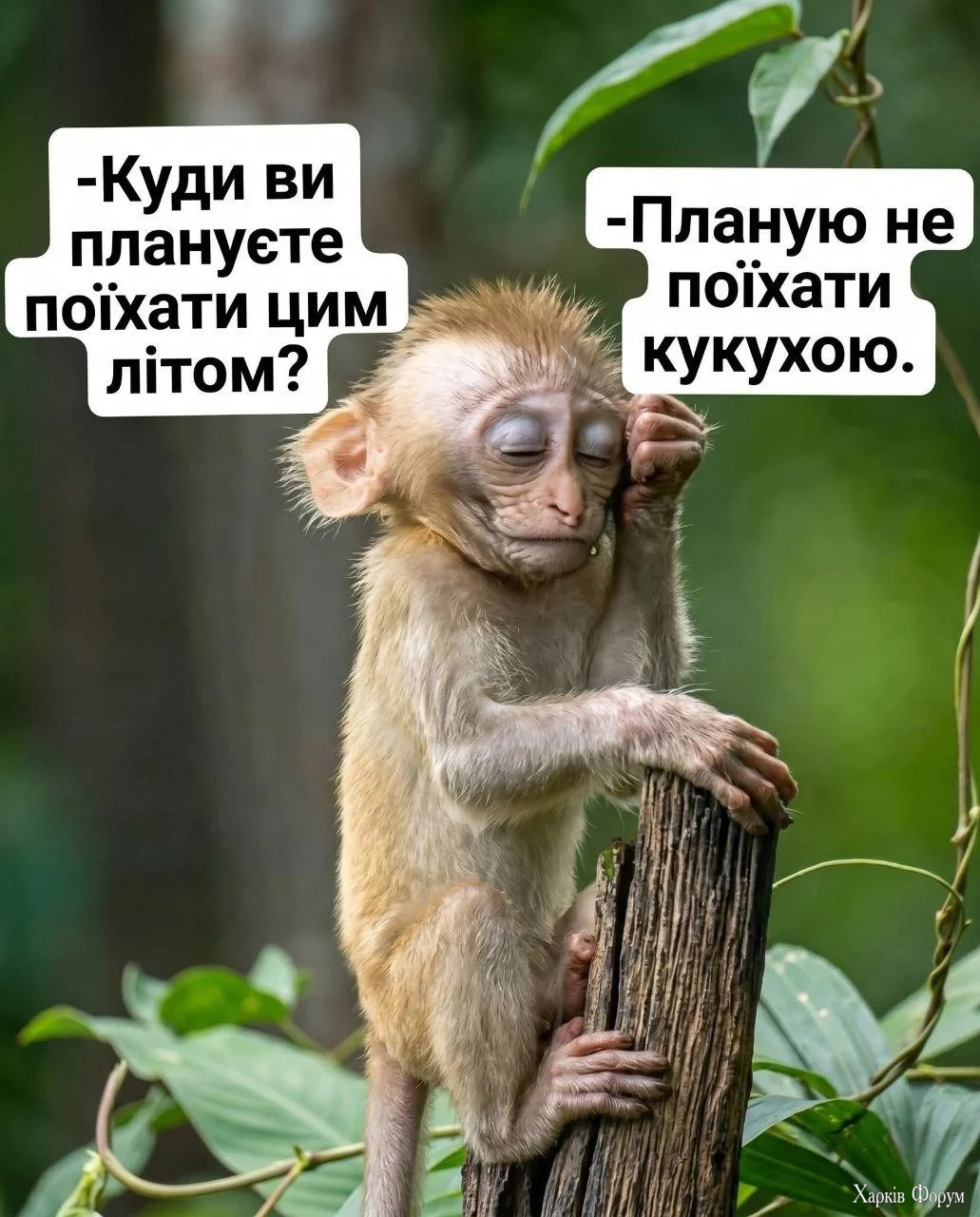1782284068855.webp