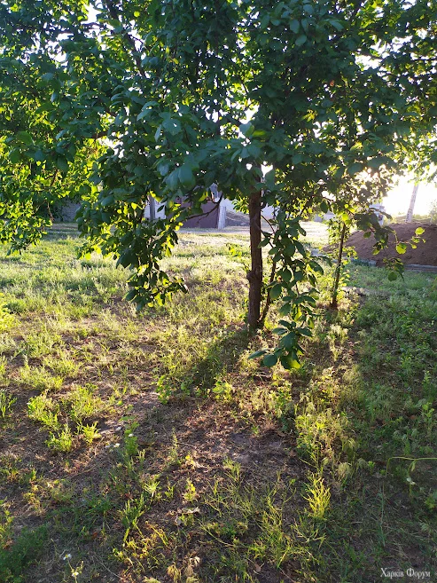 1782317018101.webp