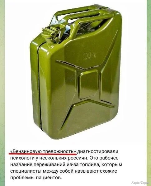 1782387582555.webp