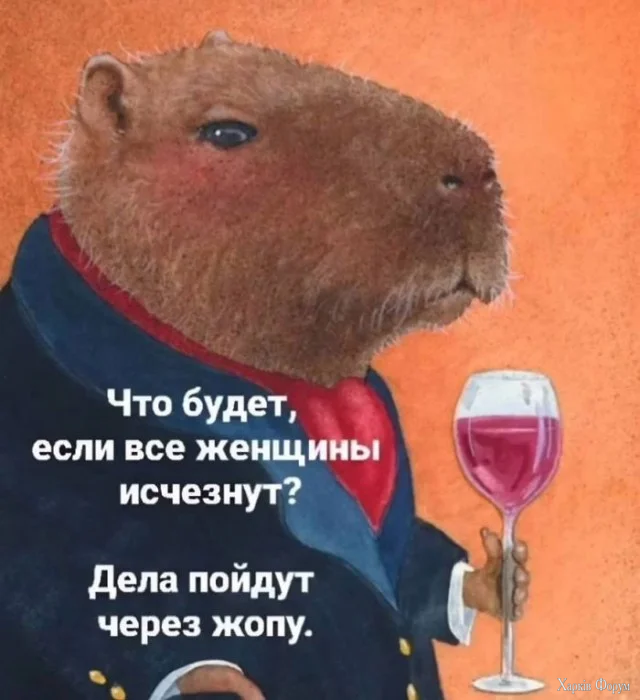 1782449335844.webp