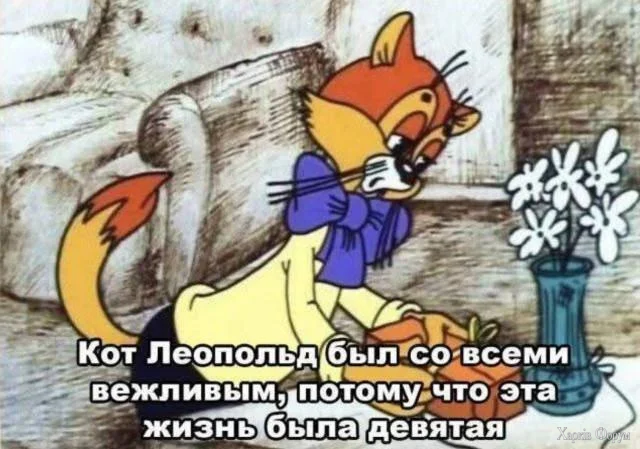 1782586997554.webp