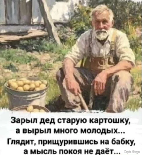 1782685793602.webp
