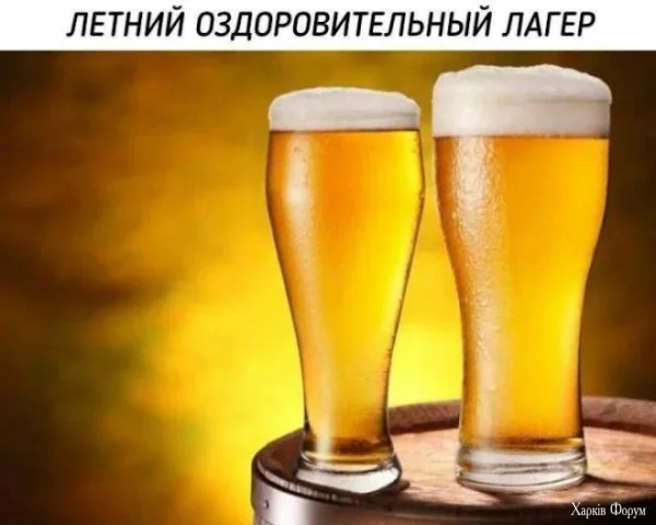 1782685849462.webp