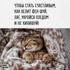 1782832441333.webp
