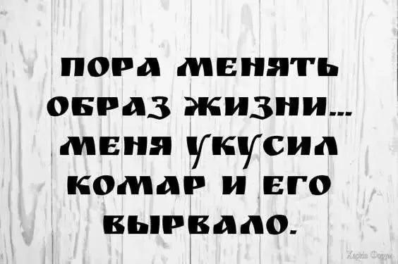 1782900205274.webp