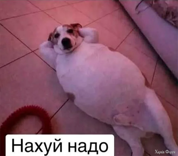 1782968064604.webp