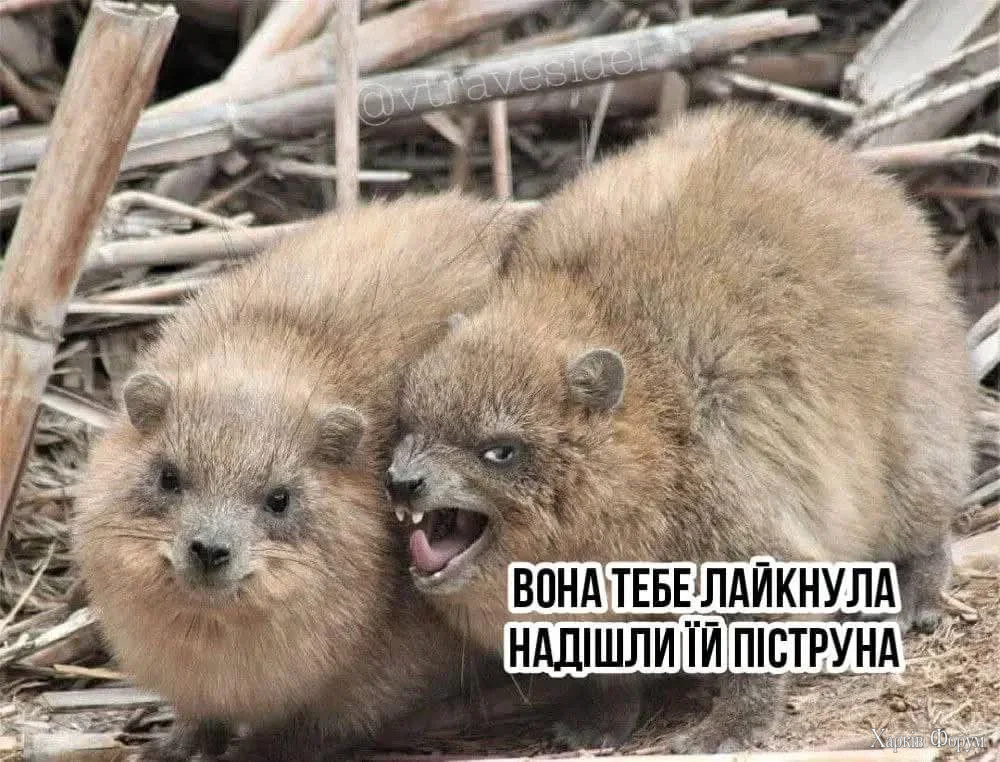 1782990515338.webp