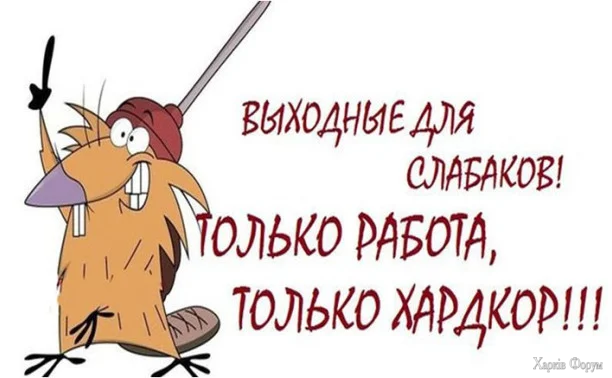 1783322778591.webp