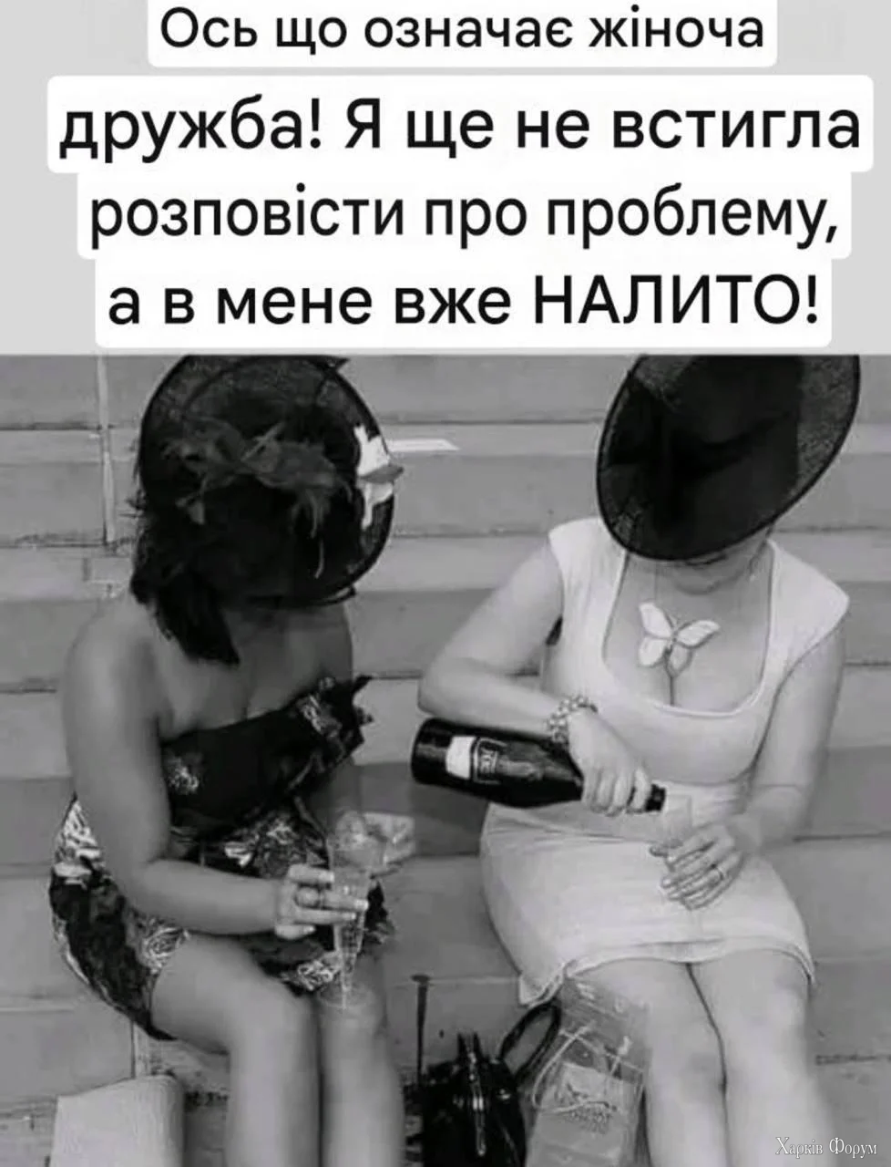 1783407598174.webp