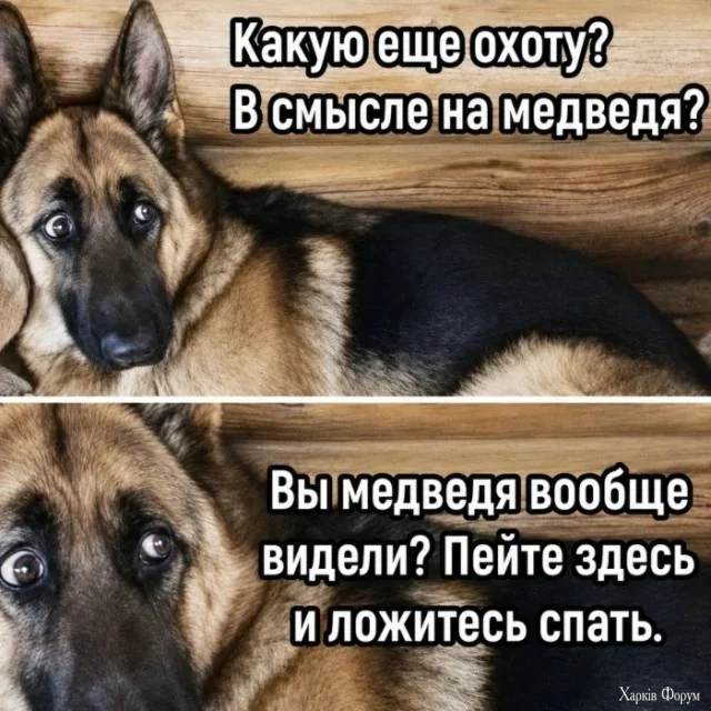 1783487041296.webp