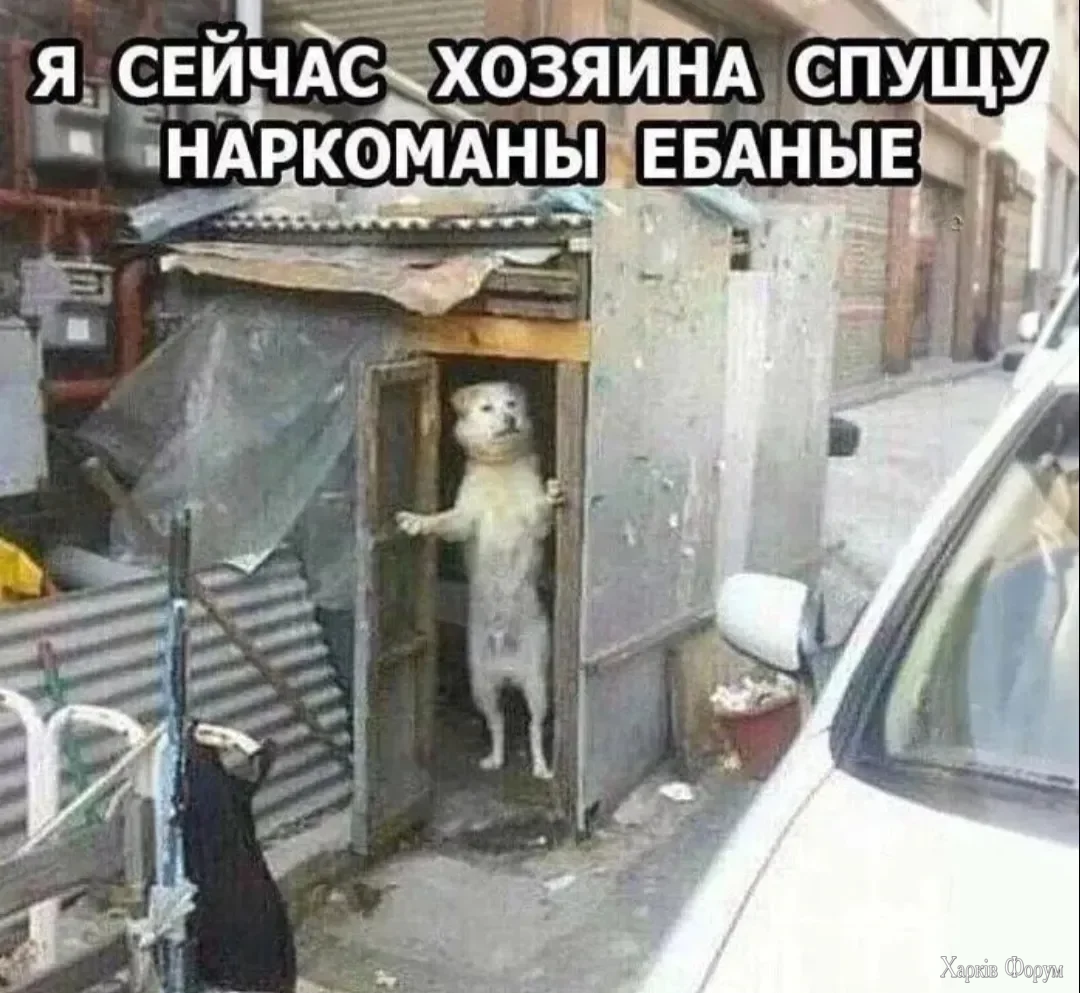1783759598420.webp