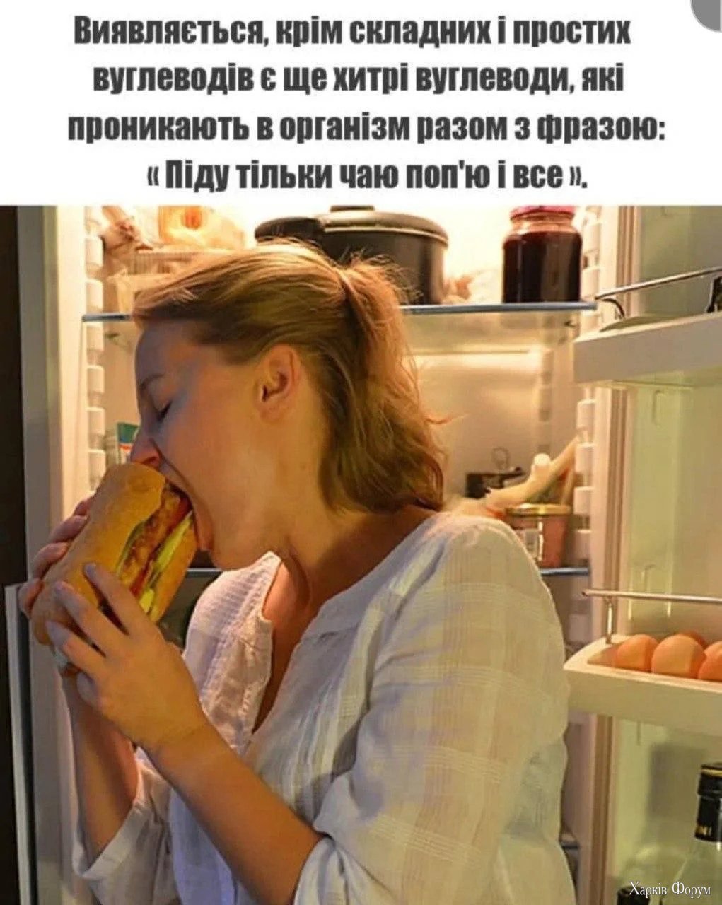 1783880902031.webp