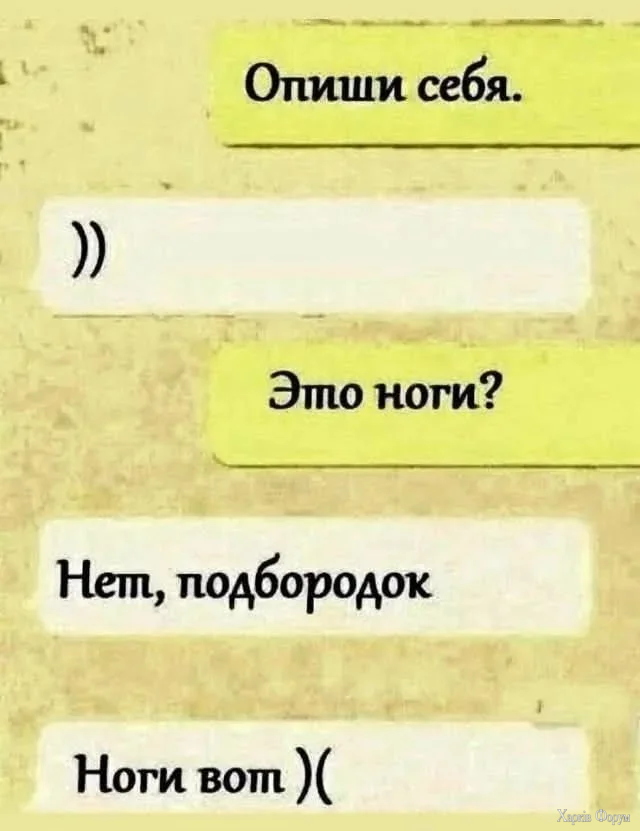 1784217856314.webp
