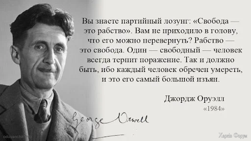 1784356363239.webp