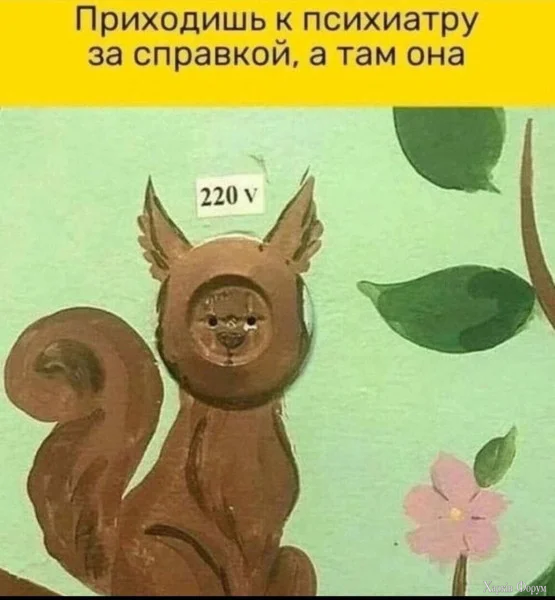 1784387576967.webp