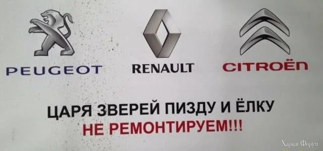 1784487850063.webp