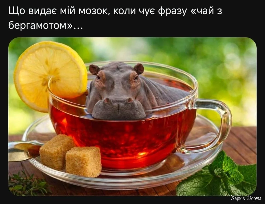 1784723689649.webp
